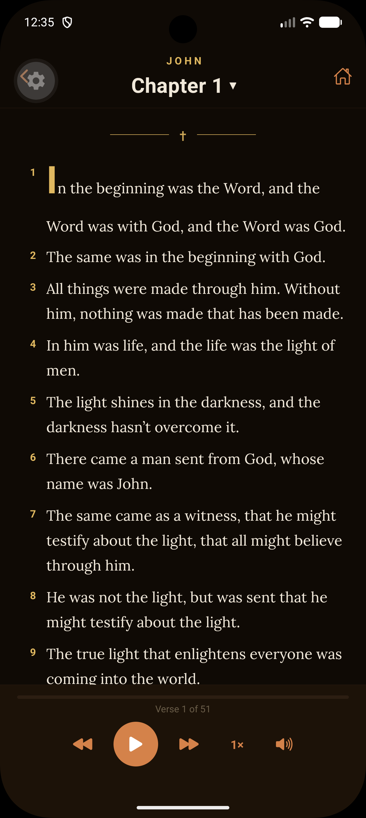 Bible reader view
